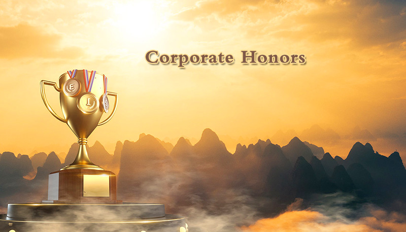 公司荣誉